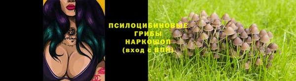 бошки Армянск