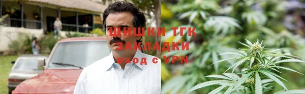 тгк Аркадак