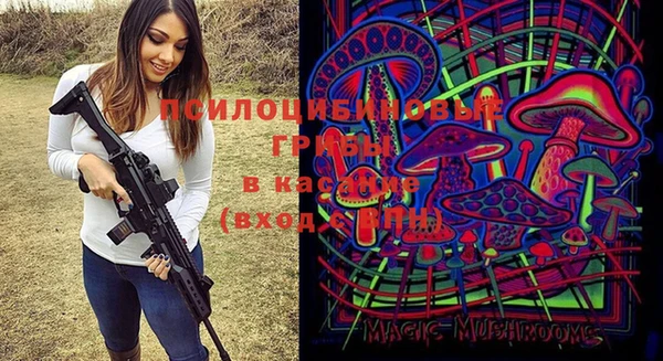 кокс Арсеньев