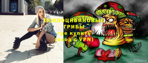бошки Армянск