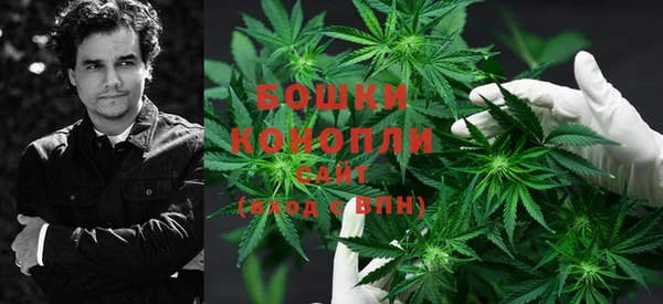 тгк Аркадак