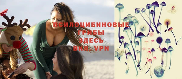тгк Аркадак