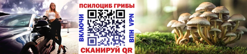 закладки  Тавда  Галлюциногенные грибы GOLDEN TEACHER 