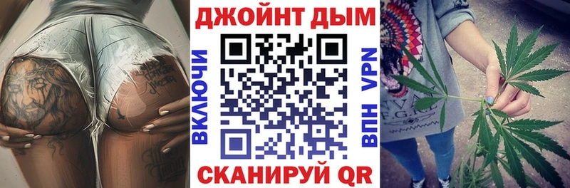 Бошки Шишки планчик Тавда